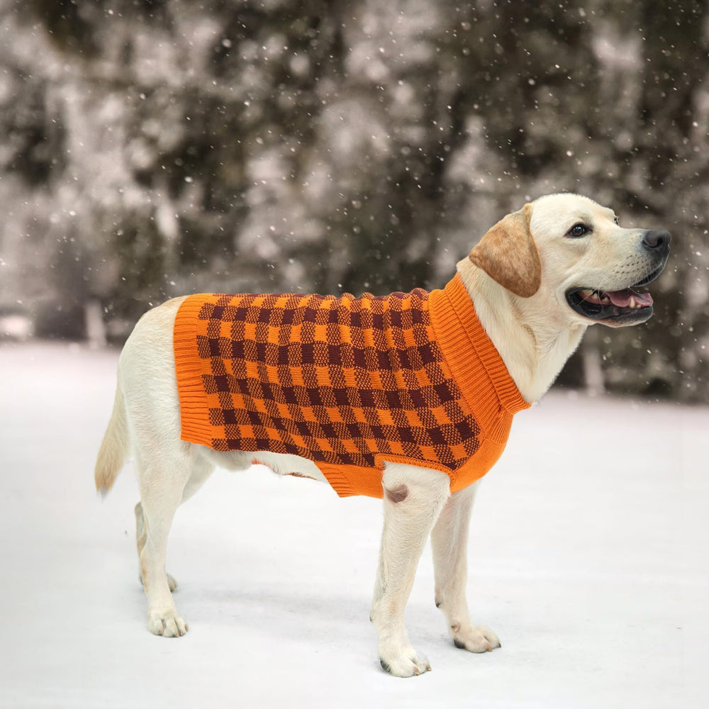 PUPTECK dog sweater worn during outdoor walk demonstrating secure fit
