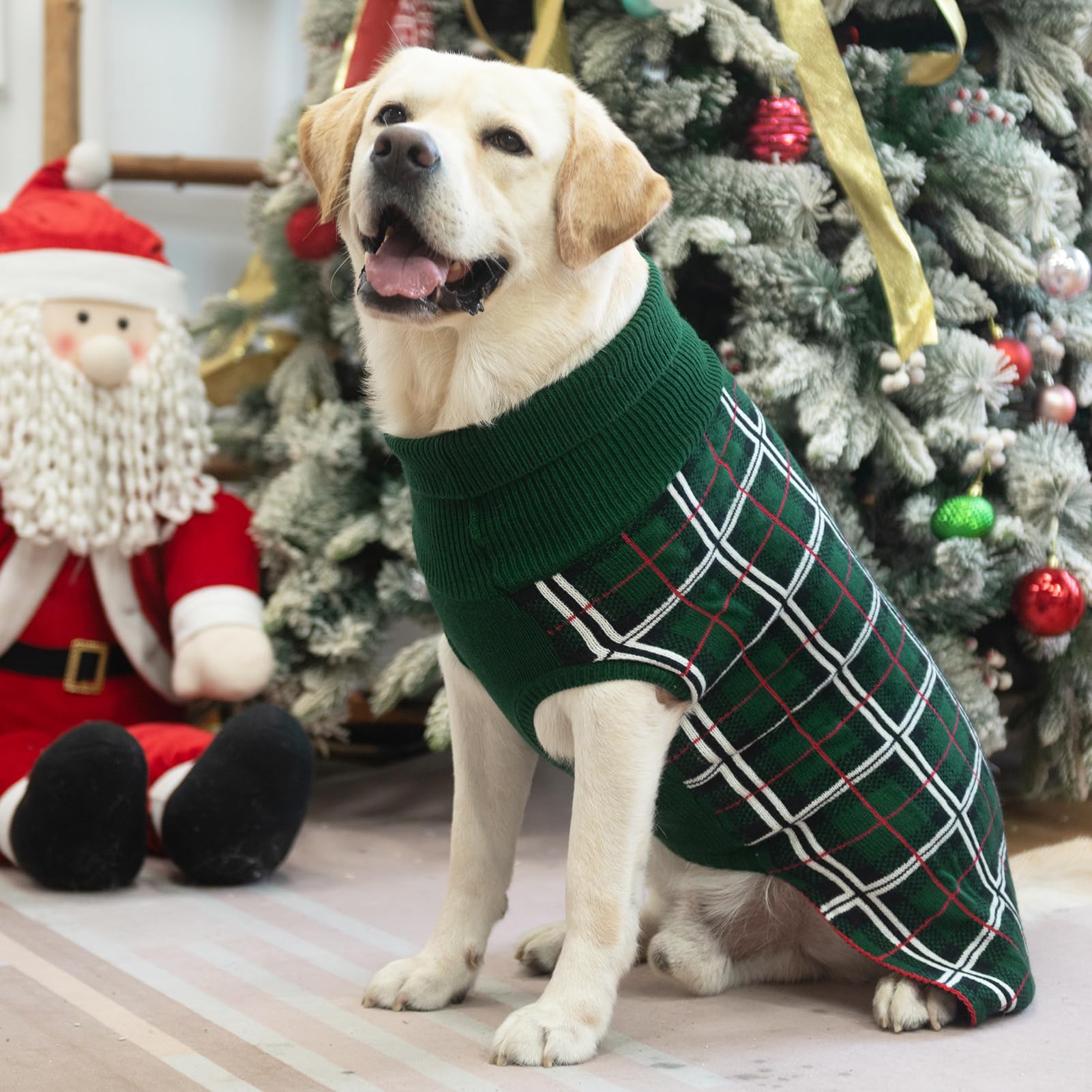PUPTECK dog outdoors wearing sweater during a walk