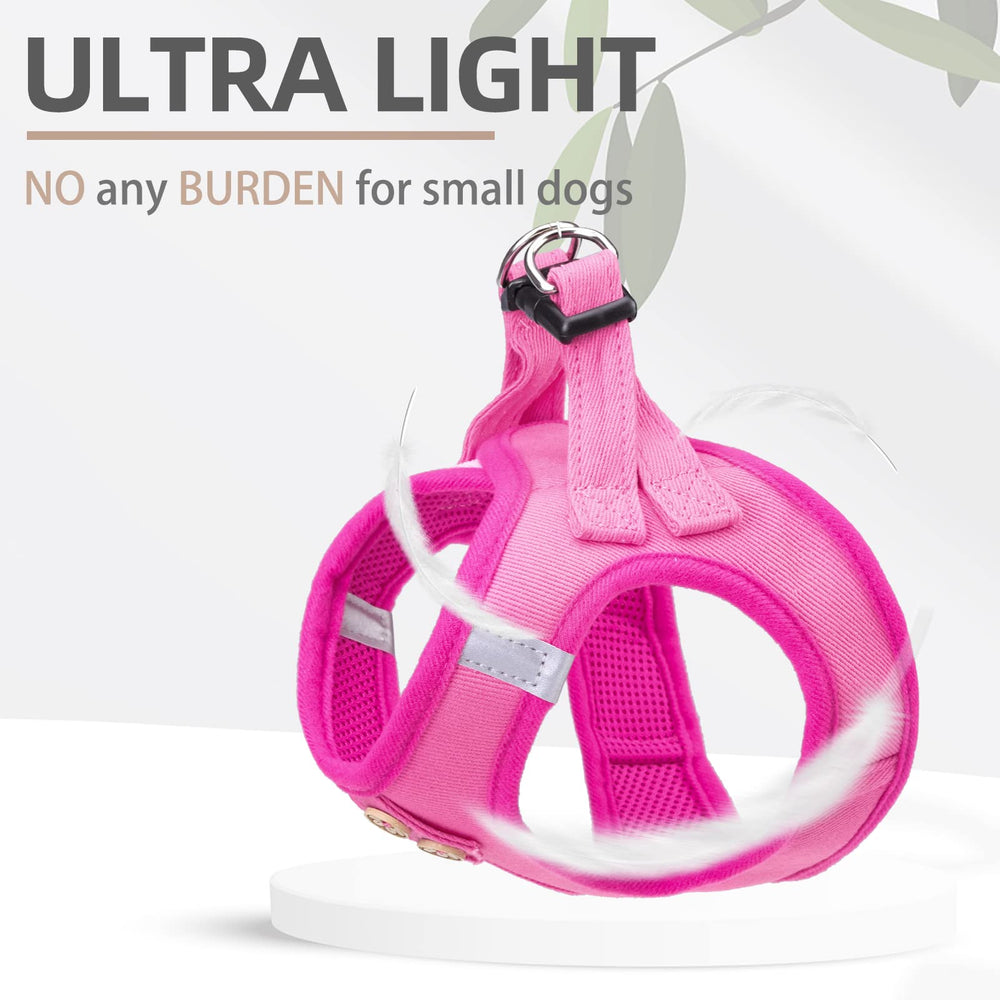 PUPTECK dog wearing harness outdoors for secure comfortable adventures