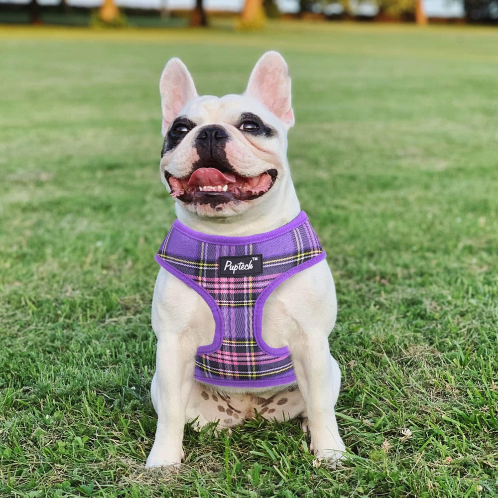 PUPTECK wearing harness promotes comfortable daily activities for puppies and cats.