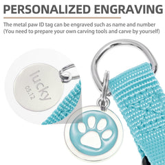 PUPTECK durable nylon webbing in sky blue XS close-up.