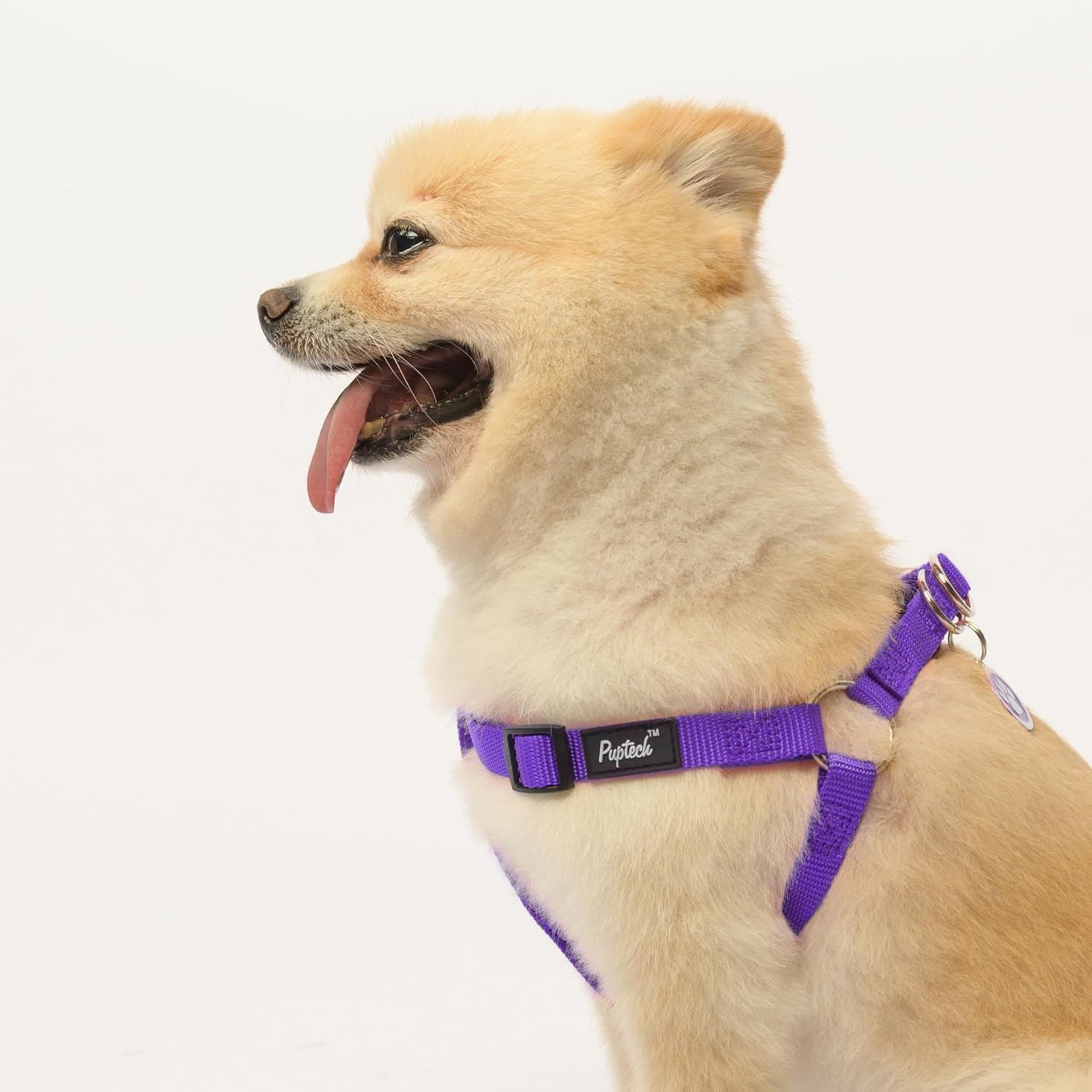 PUPTECK Durable nylon webbing emphasizes smooth surface for daily use.