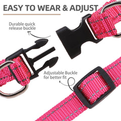 PUPTECK Durable nylon webbing emphasizes strength and smooth wear.