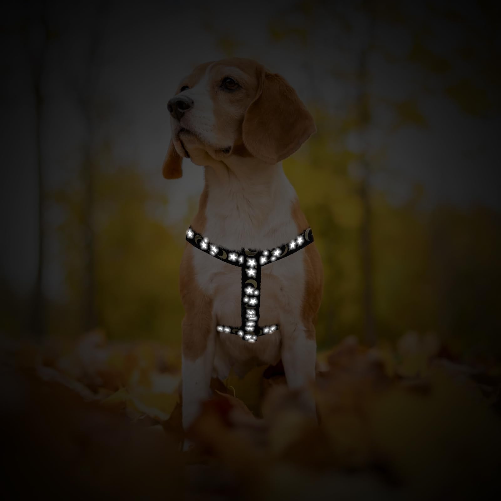PUPTECK durable webbing close-up highlights smooth, long-lasting material.