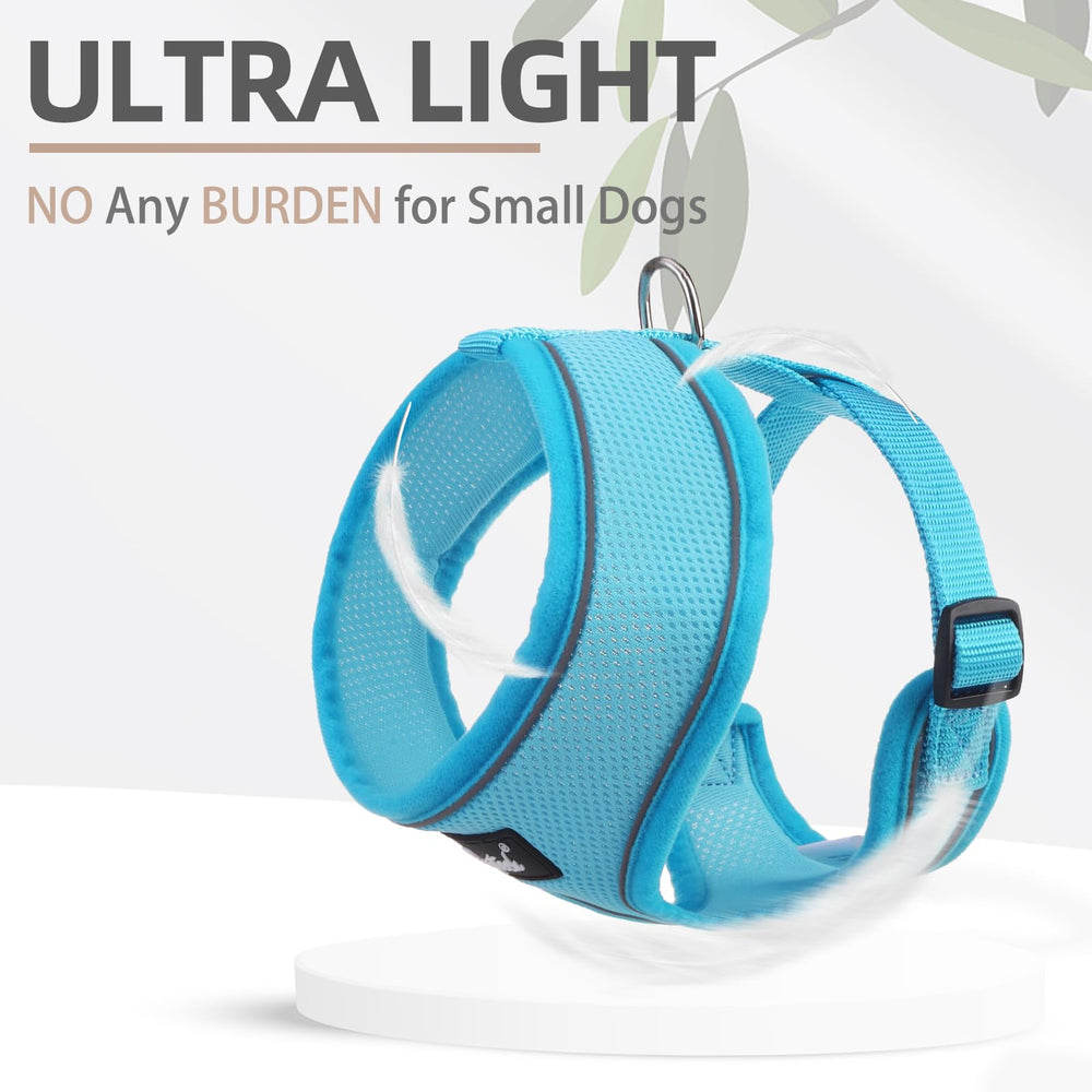 PUPTECK easy-on-off buckle demonstration indicates quick fitting and secure closure.