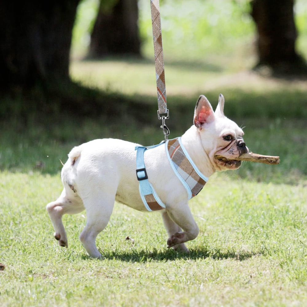 PUPTECK easy-on-off buckle; quick-release design for busy routines.