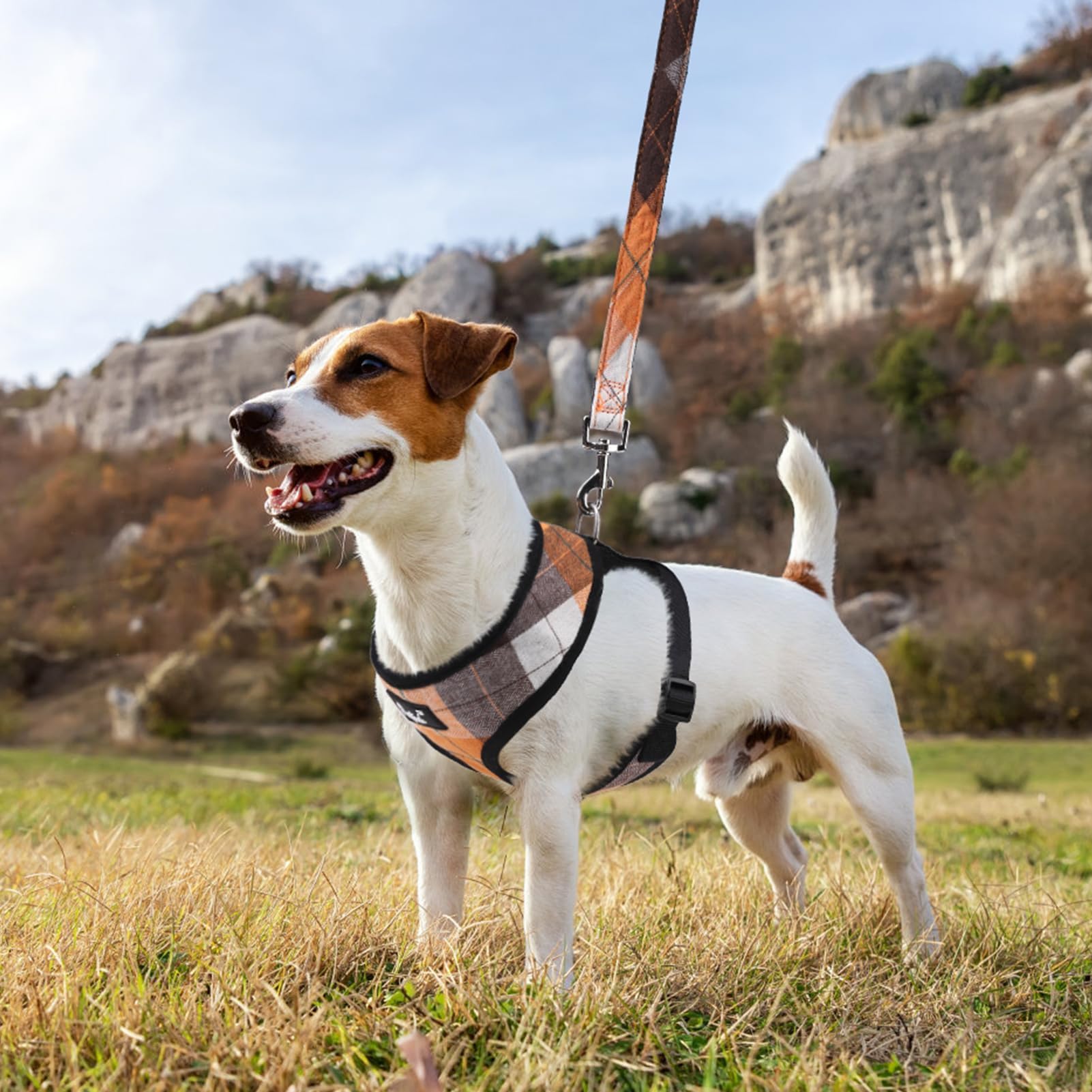 PUPTECK easy on-off buckle for quick fitting and hassle-free use.