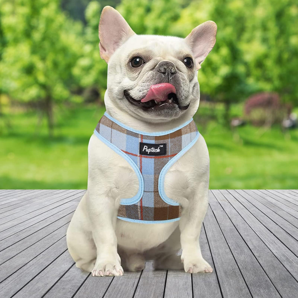 PUPTECK easy-on-off harness blue-brown quick-release buckle.