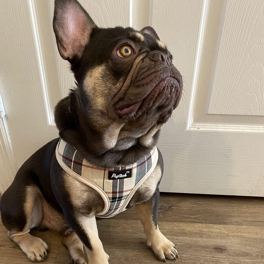 PUPTECK four-season wear suitable in all weather conditions