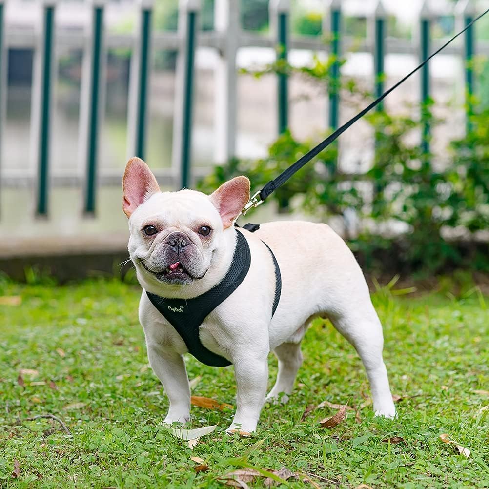 PUPTECK guía de tallas, ajuste cómodo para perros pequeños.