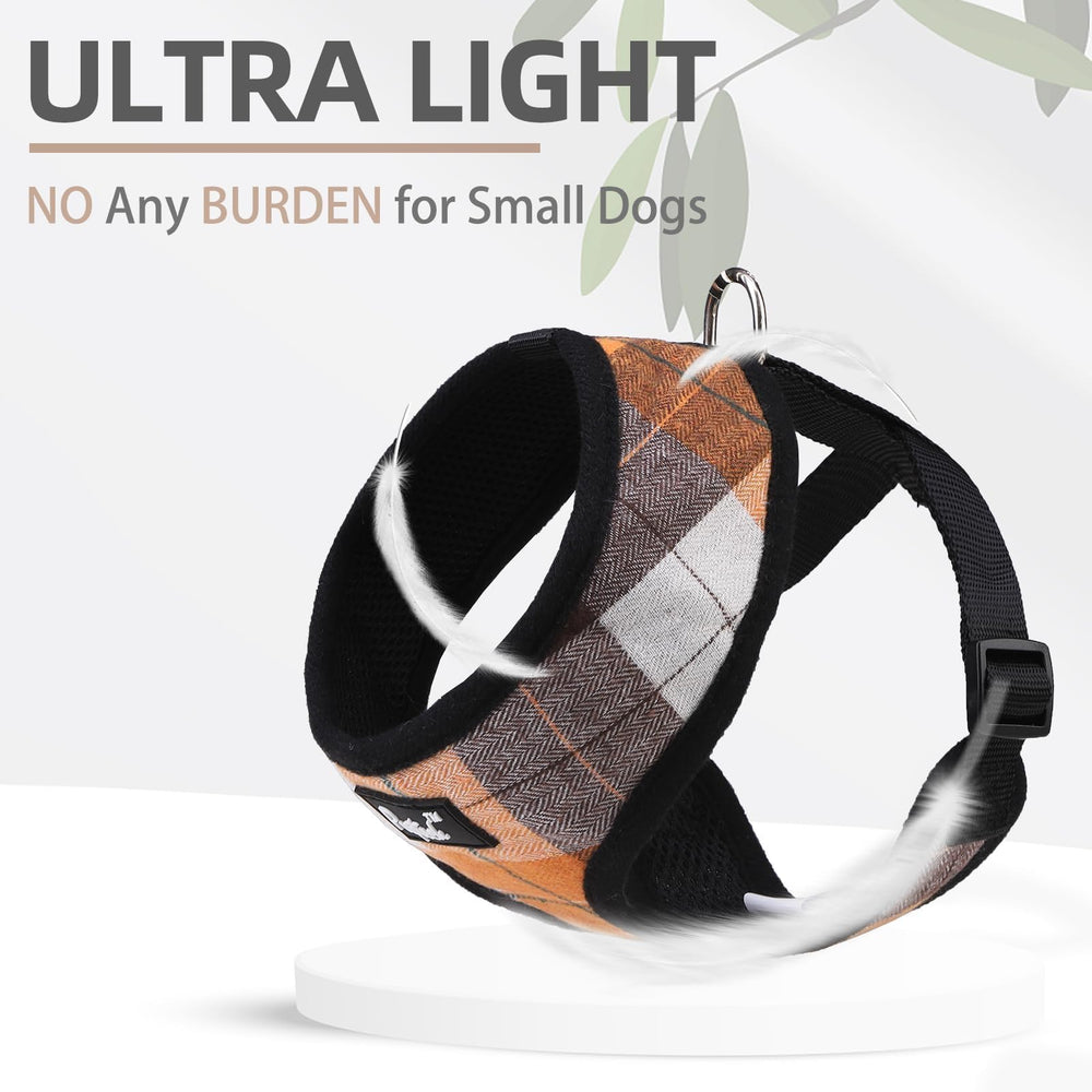 PUPTECK air-mesh material image demonstrates breathability across seasons.