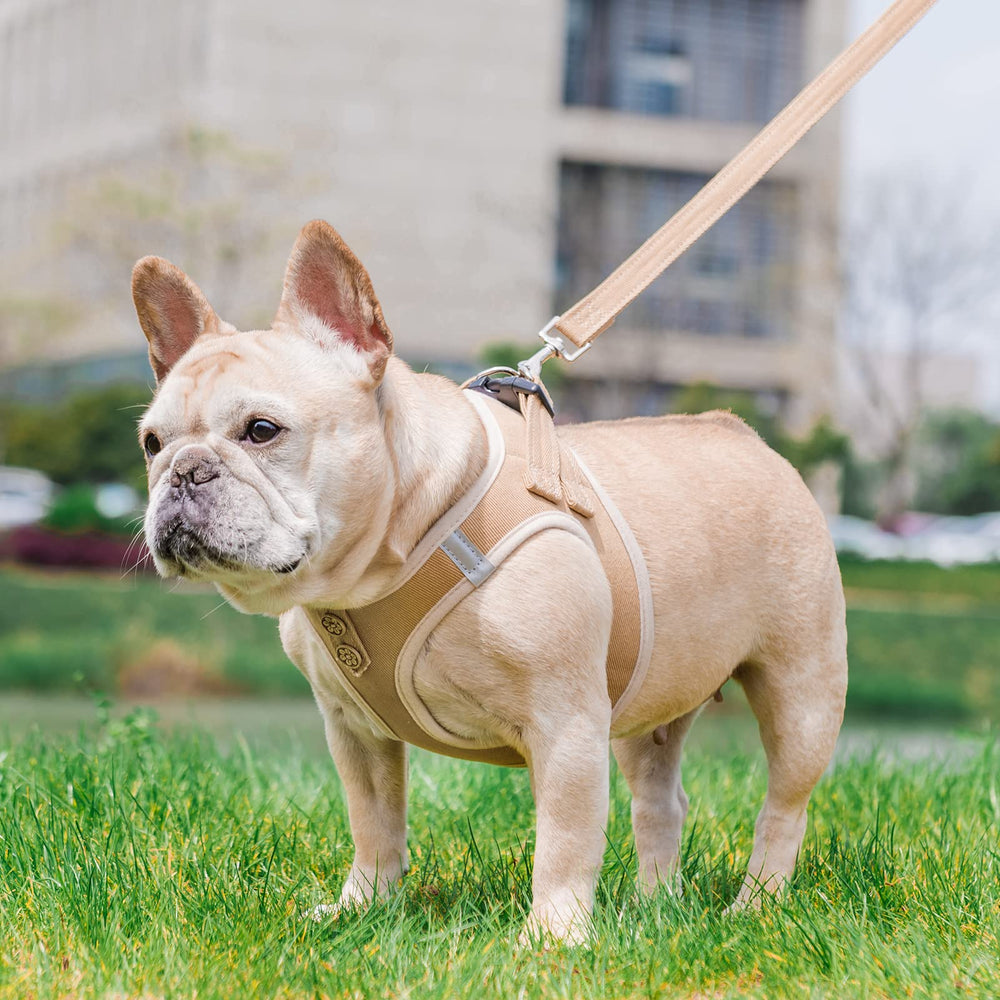 PUPTECK airmesh inside view highlights breathable lining that helps keep fur dry.