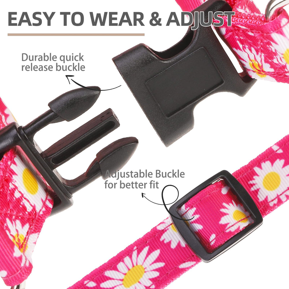PUPTECK No Pull Harness ID tag focuses on engraved metal tag for personalization.