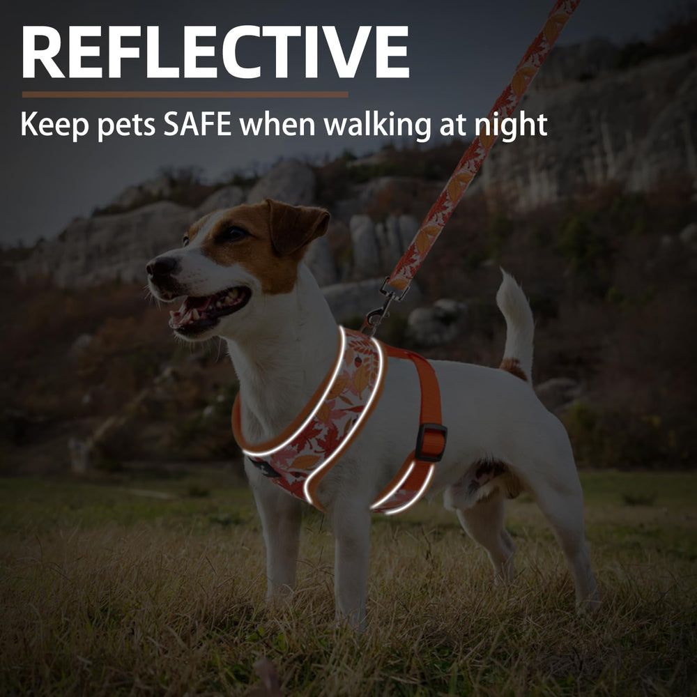 Pupteck harness on dog orange leaf pattern boosts visibility and style.