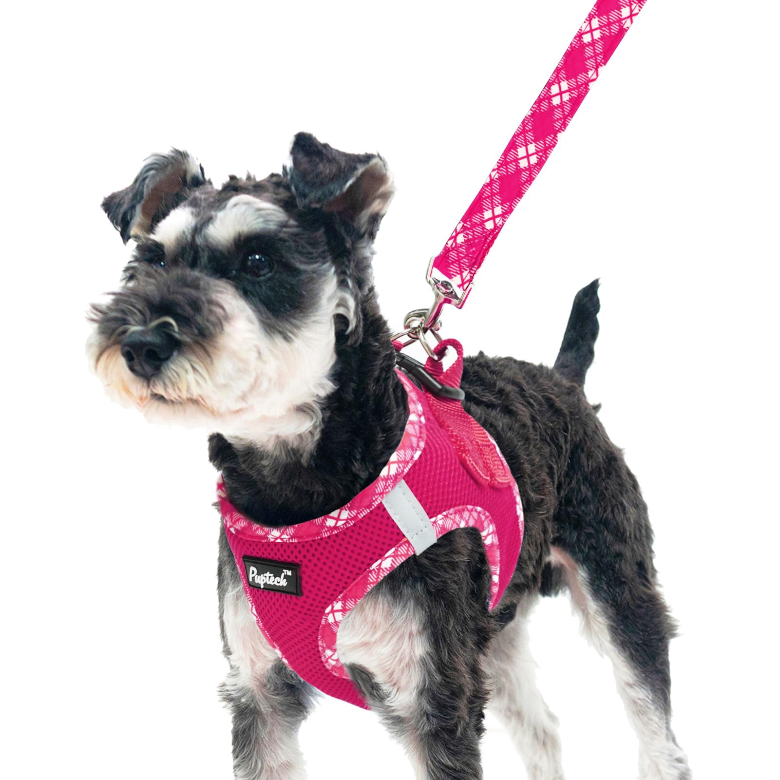 Arnés PUPTECK para perro, vista frontal, ajuste cómodo para paseos diarios