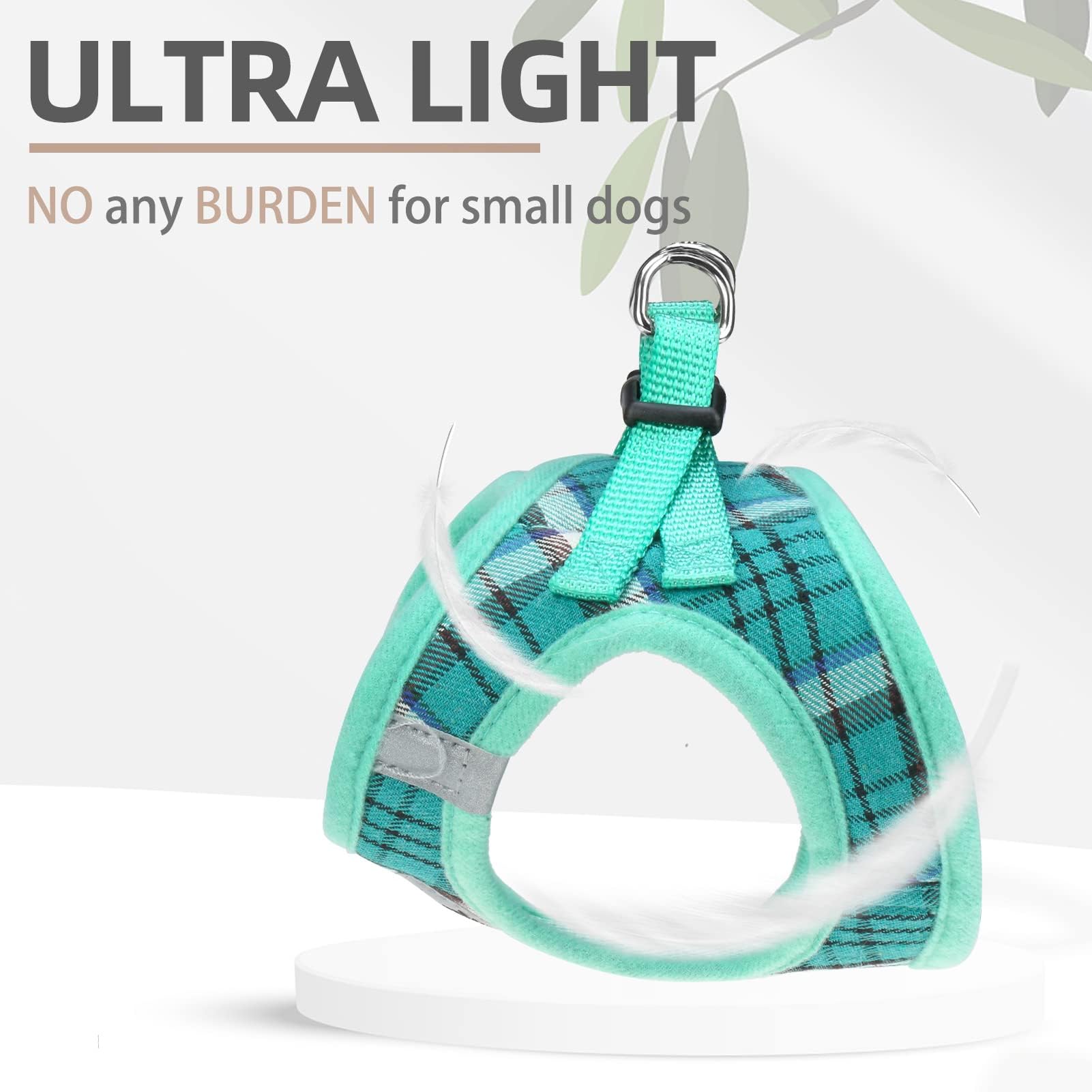 PUPTECK quick-release buckle enables easy on/off during quick outdoor sessions