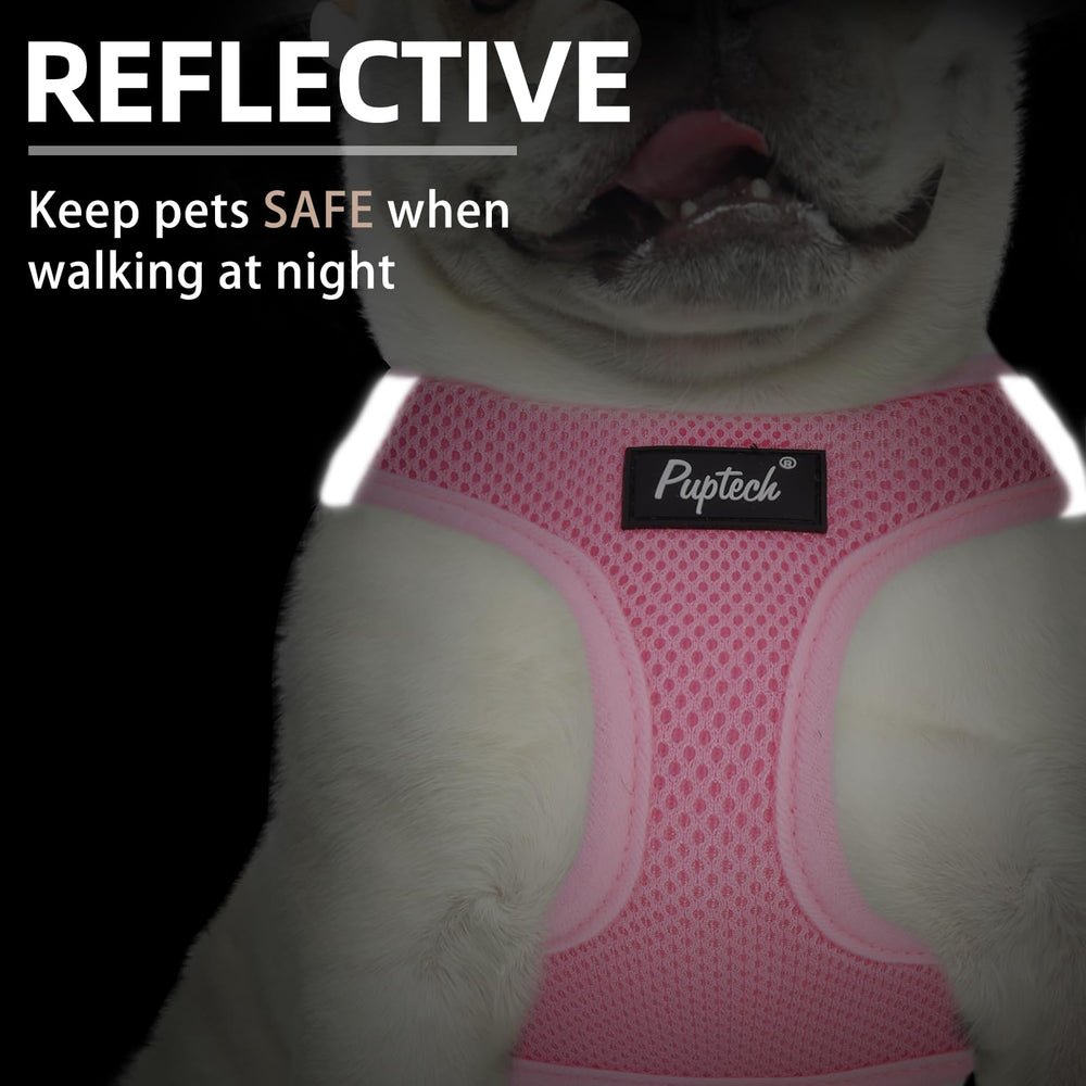 PUPTECK harness reflective night-safety strips improve visibility on evening walks