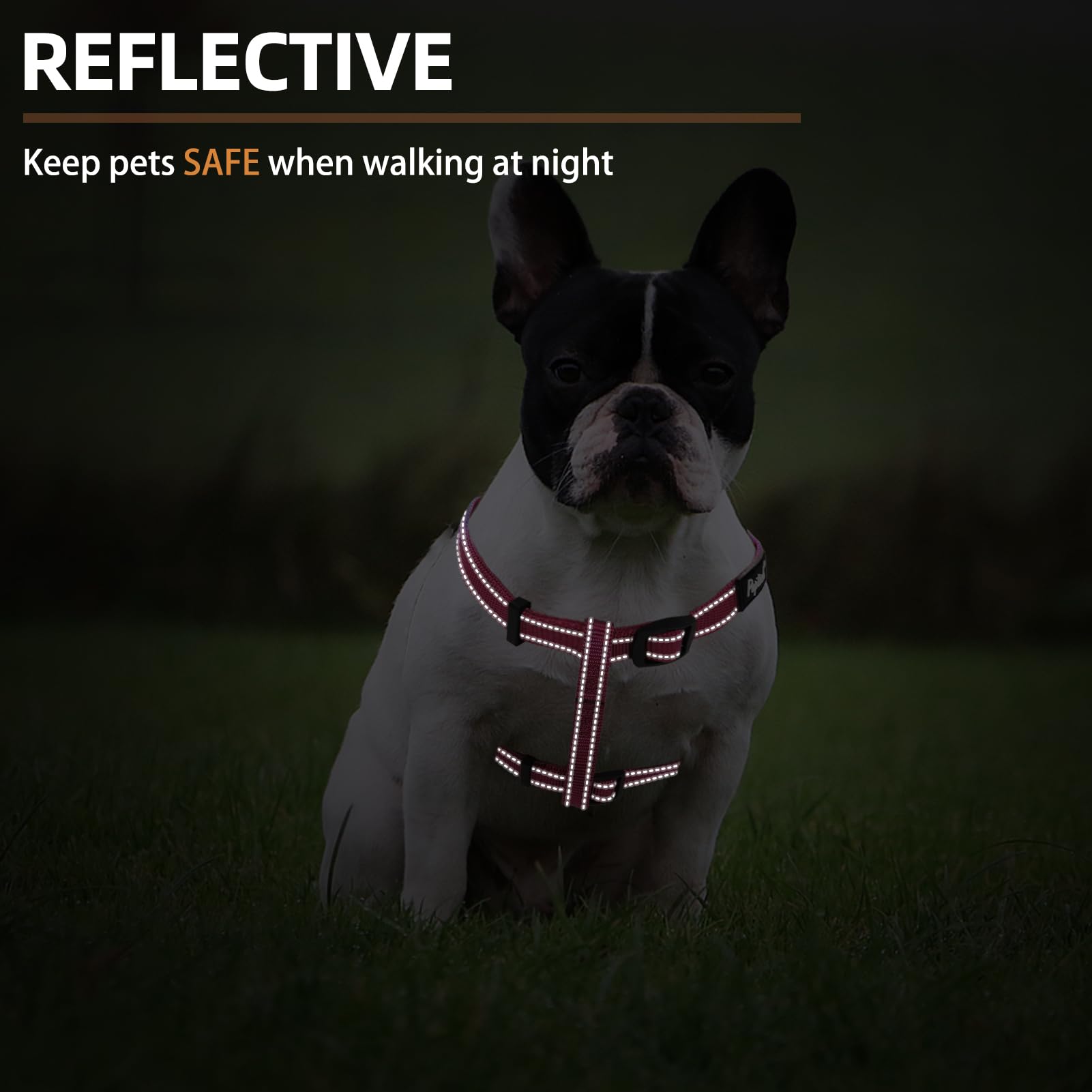 PUPTECK Back-engrave tag highlights durable, personalized safety label.