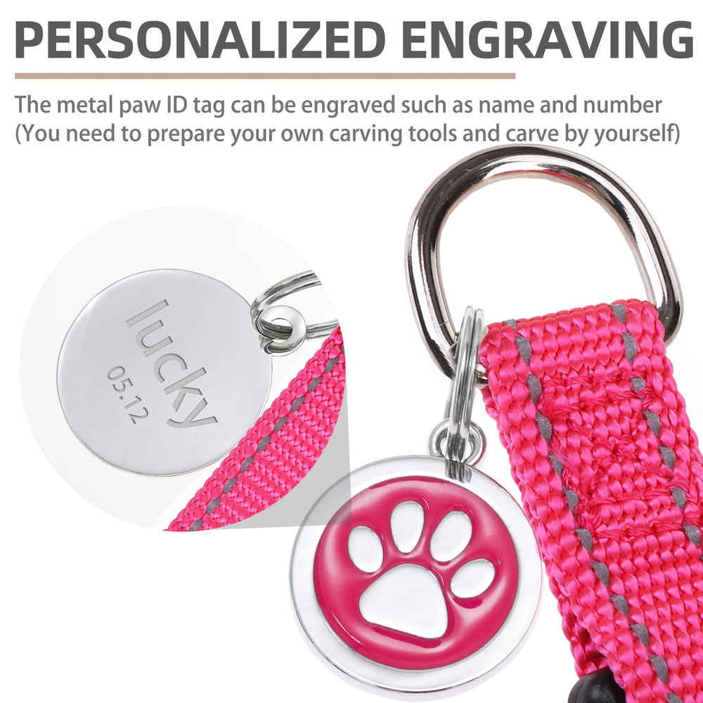 PUPTECK ID tag front paw motif for DIY engraving on the back.