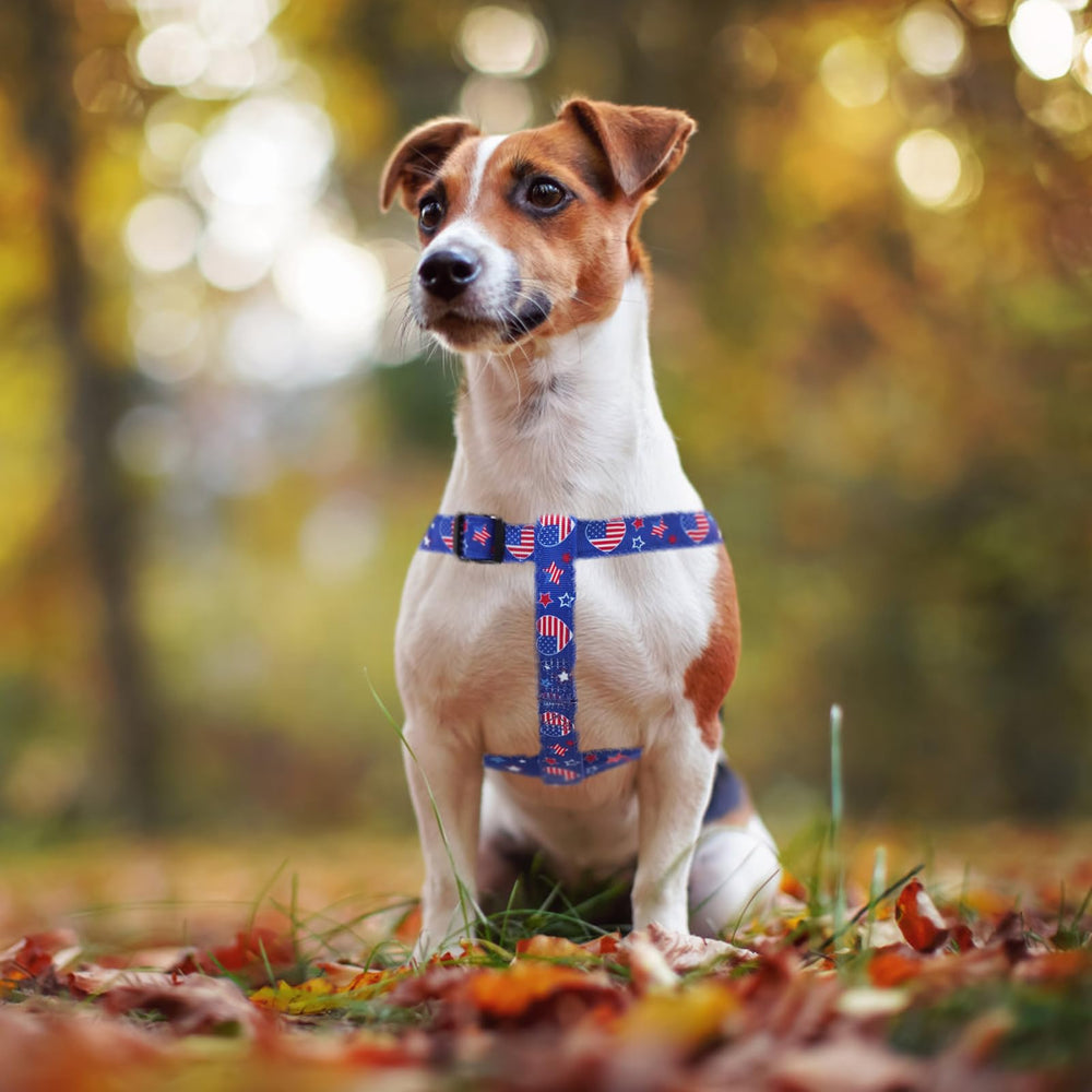 PUPTECK ID tag front paw motif with engravable back for dog identification