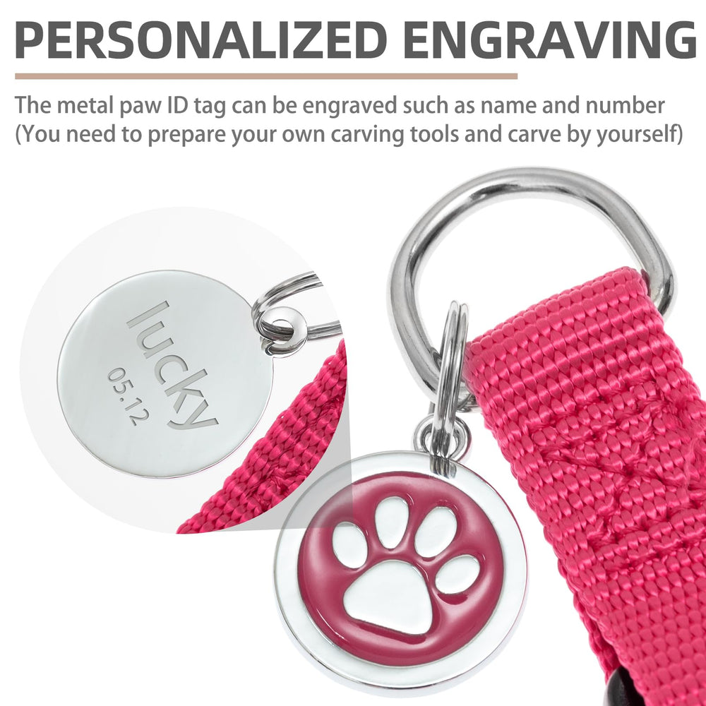 PUPTECK ID tag front paw pattern for quick identification