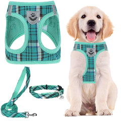 PUPTECK lake-green xxs harness front view shows adjustable fit and breathable mesh comfort