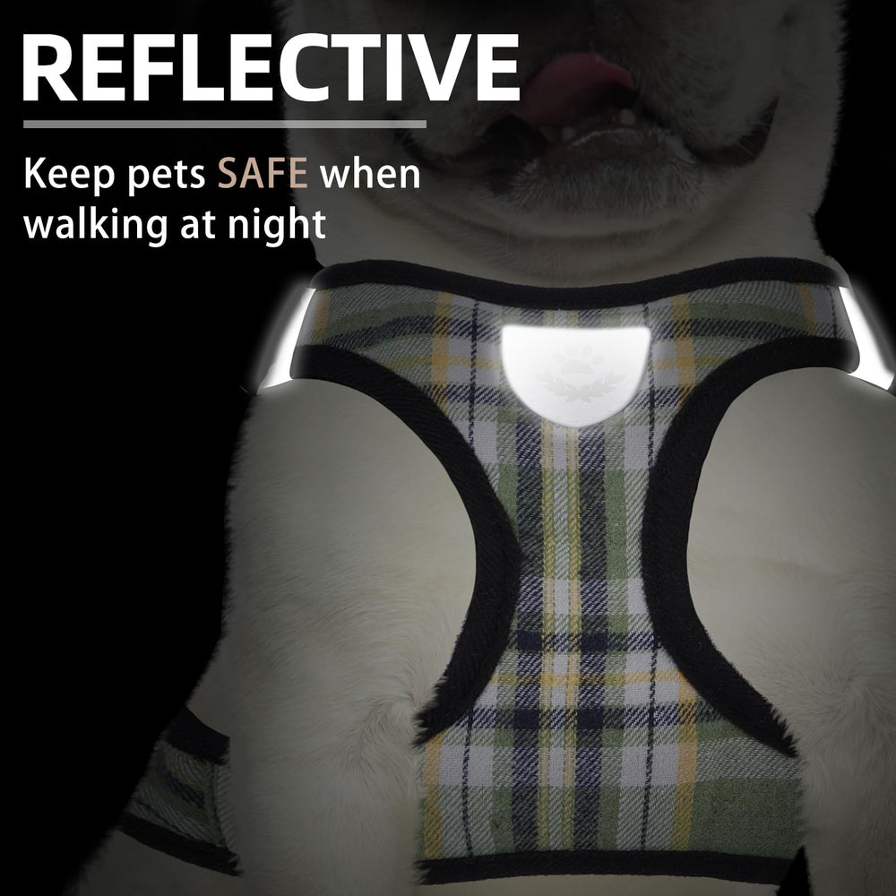 PUPTECK leash with 360-degree rotation hook for smooth control
