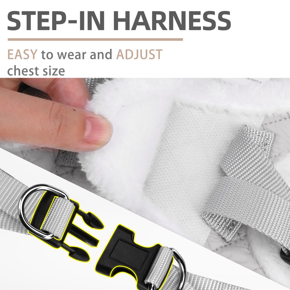 PUPTECK leash 58-inch illustrates ample reach for relaxed walks and control.