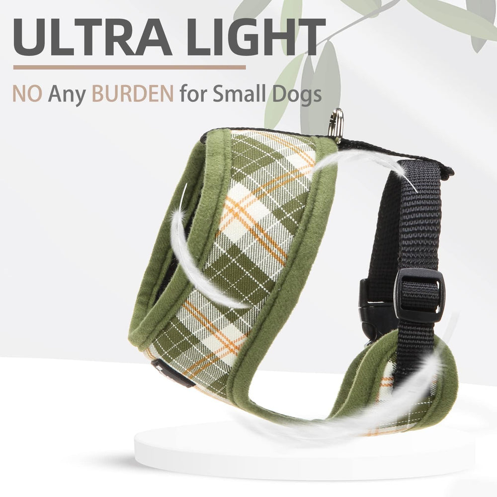 PUPTECK leash matching clip demonstrates complete set for walks