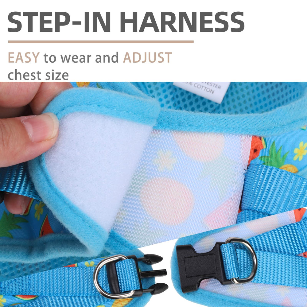 PUPTECK leash with 360-degree rotation hook for secure handling.