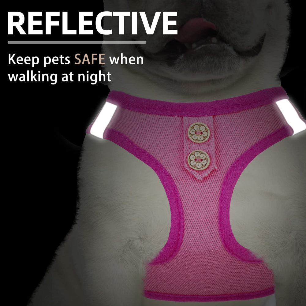 PUPTECK leash set in denim pink for coordinated daily walks