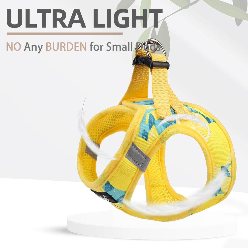 PUPTECK lightweight breathable mesh close-up illustrates comfort during activities.