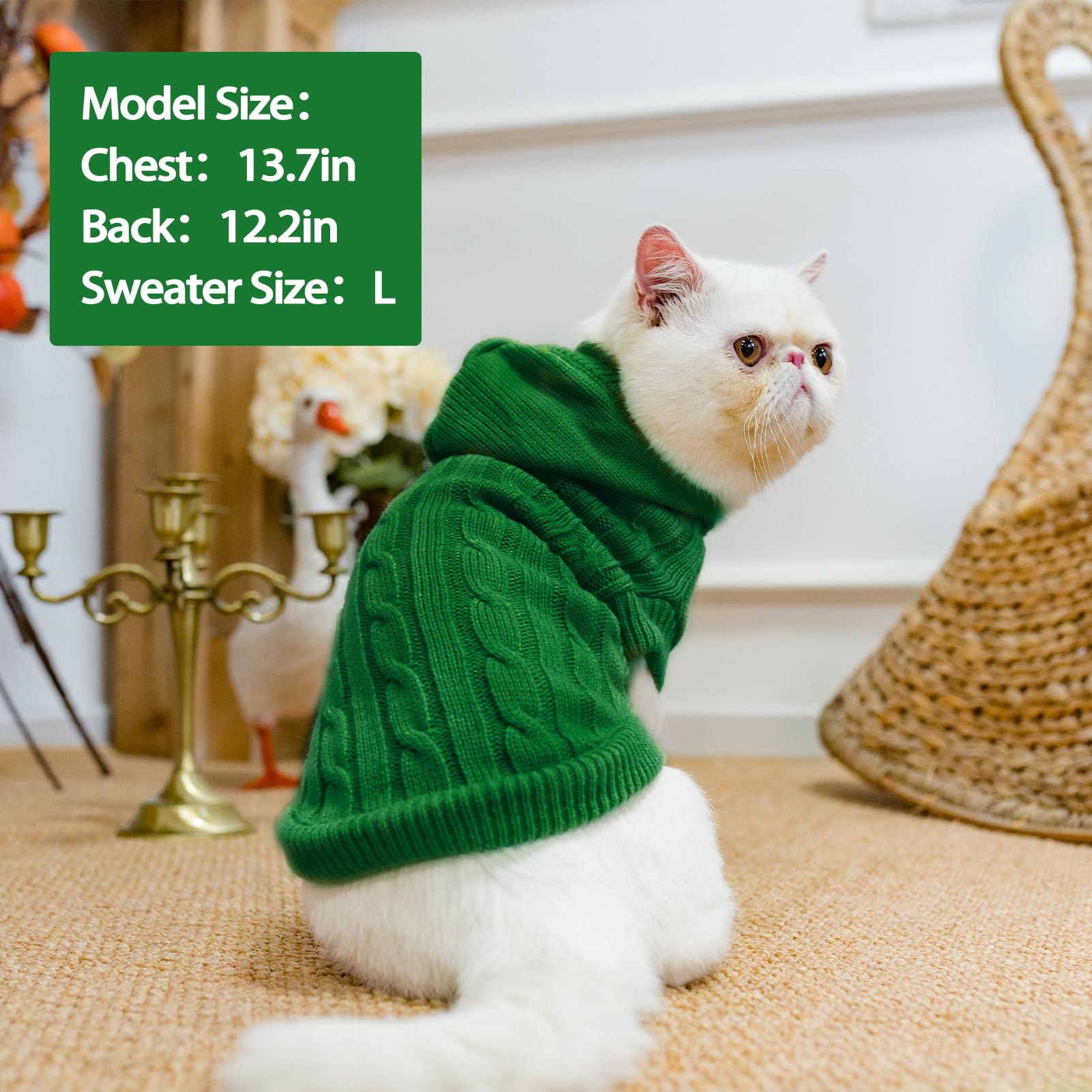 PUPTECK machine washable pet clothing for quick cleanup after walks