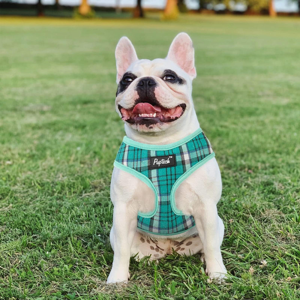 PUPTECK model wearing green plaid harness for stylish everyday adventures
