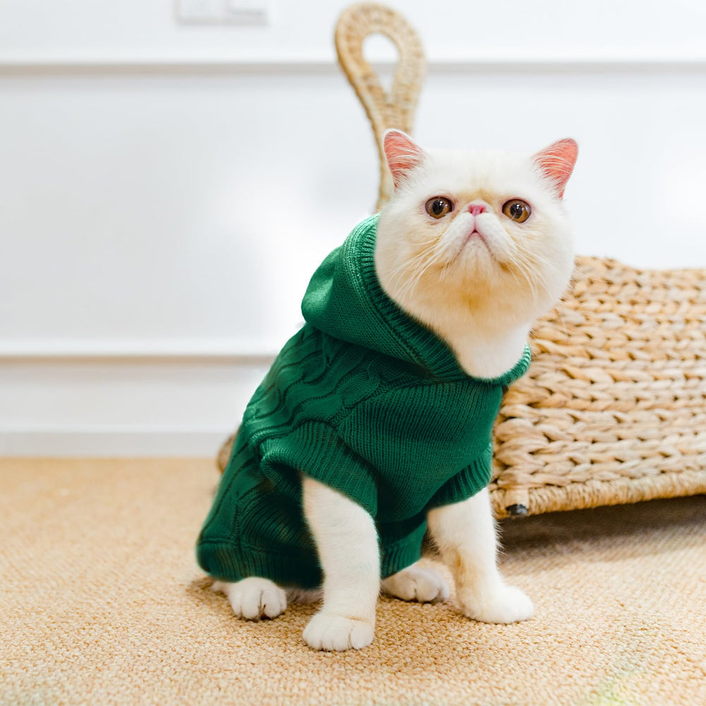 PUPTECK model wearing green knitwear for indoor comfort and style