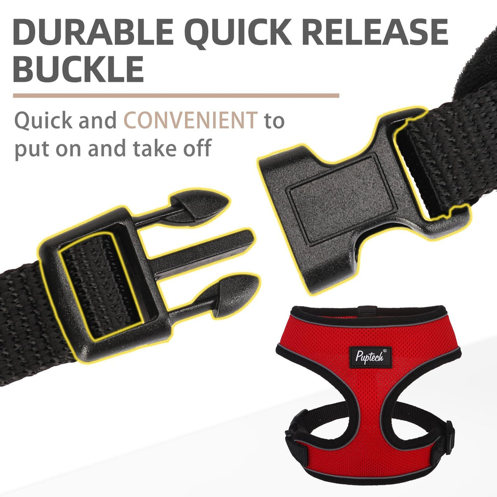 Modelo para paseo diario de perro y gato con PUPTECK.