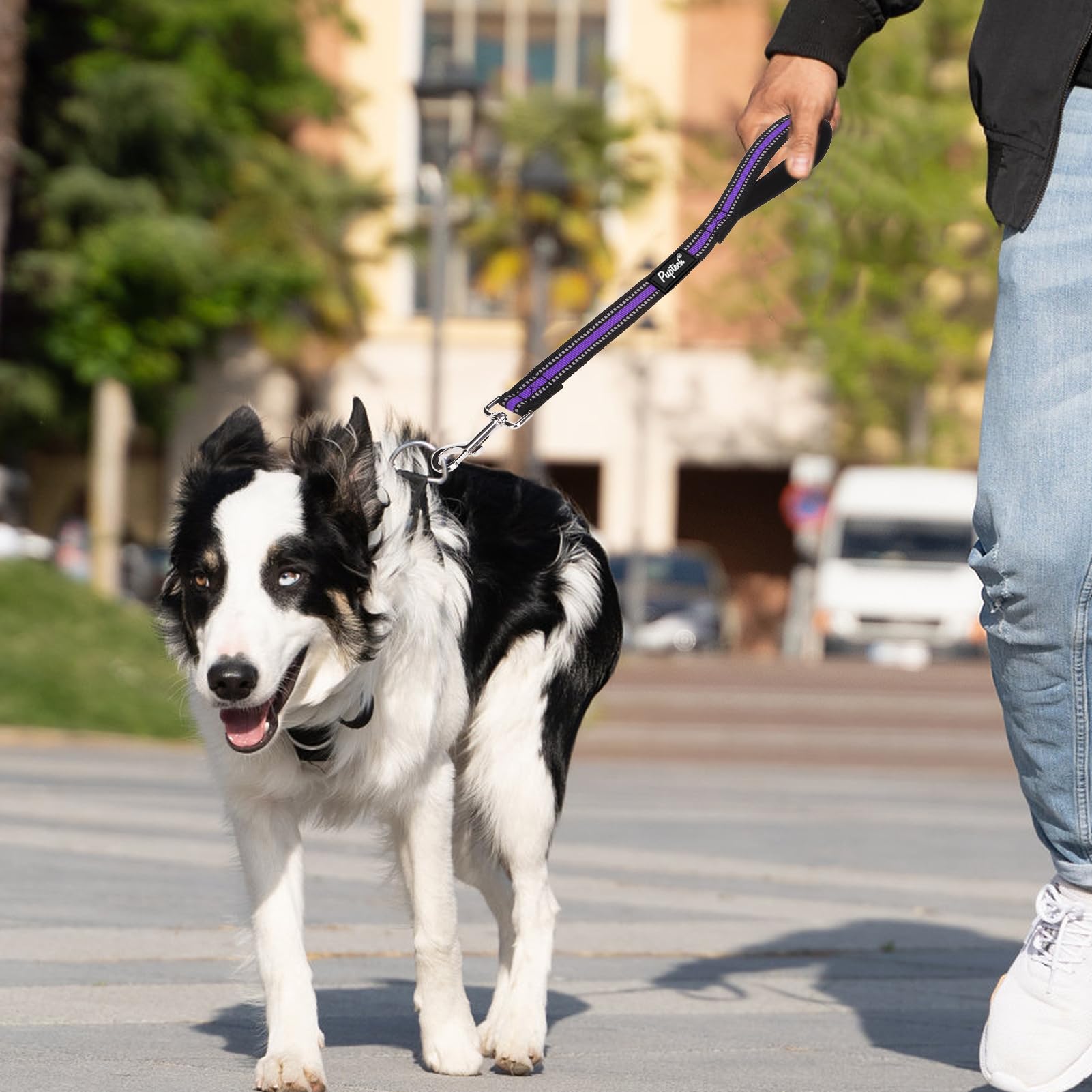 PUPTECK color options including purple for style and safety.
