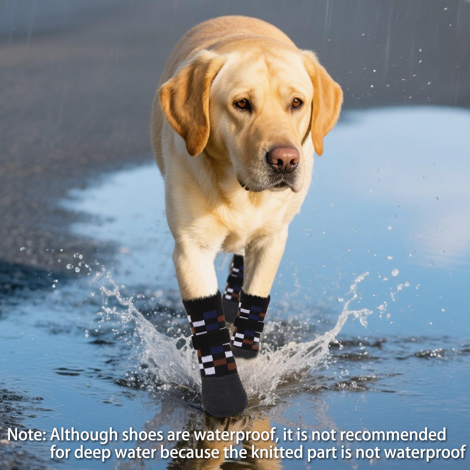 PUPTECK booties used indoors and outdoors for versatile protection