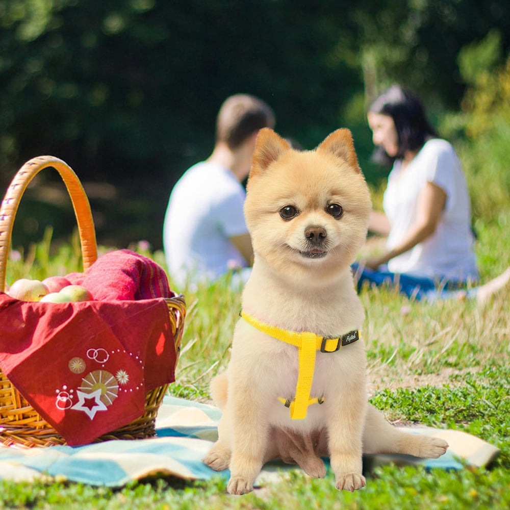 PUPTECK No Pull Harness durable nylon close-up emphasizes everyday reliability