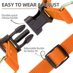PUPTECK No Pull Harness metal ID tag close-up highlights durable customization.