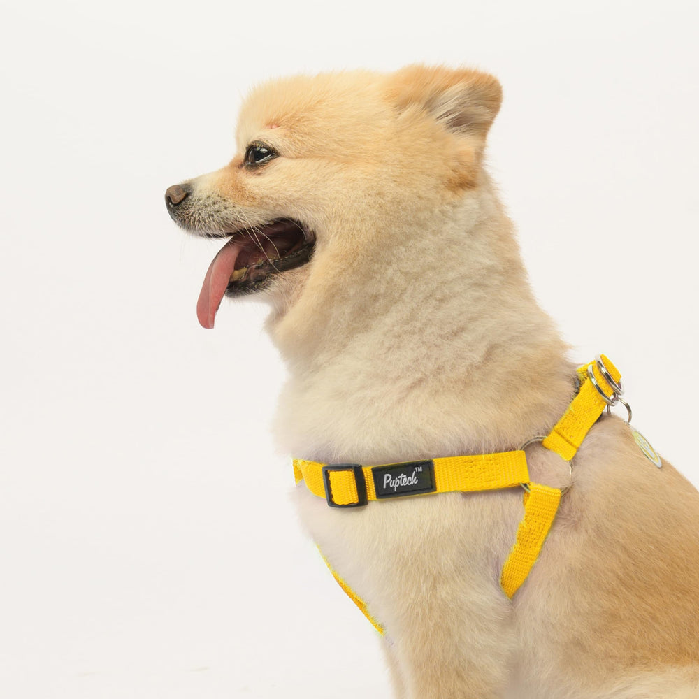 PUPTECK No Pull Harness size chart image helps choose the right fit