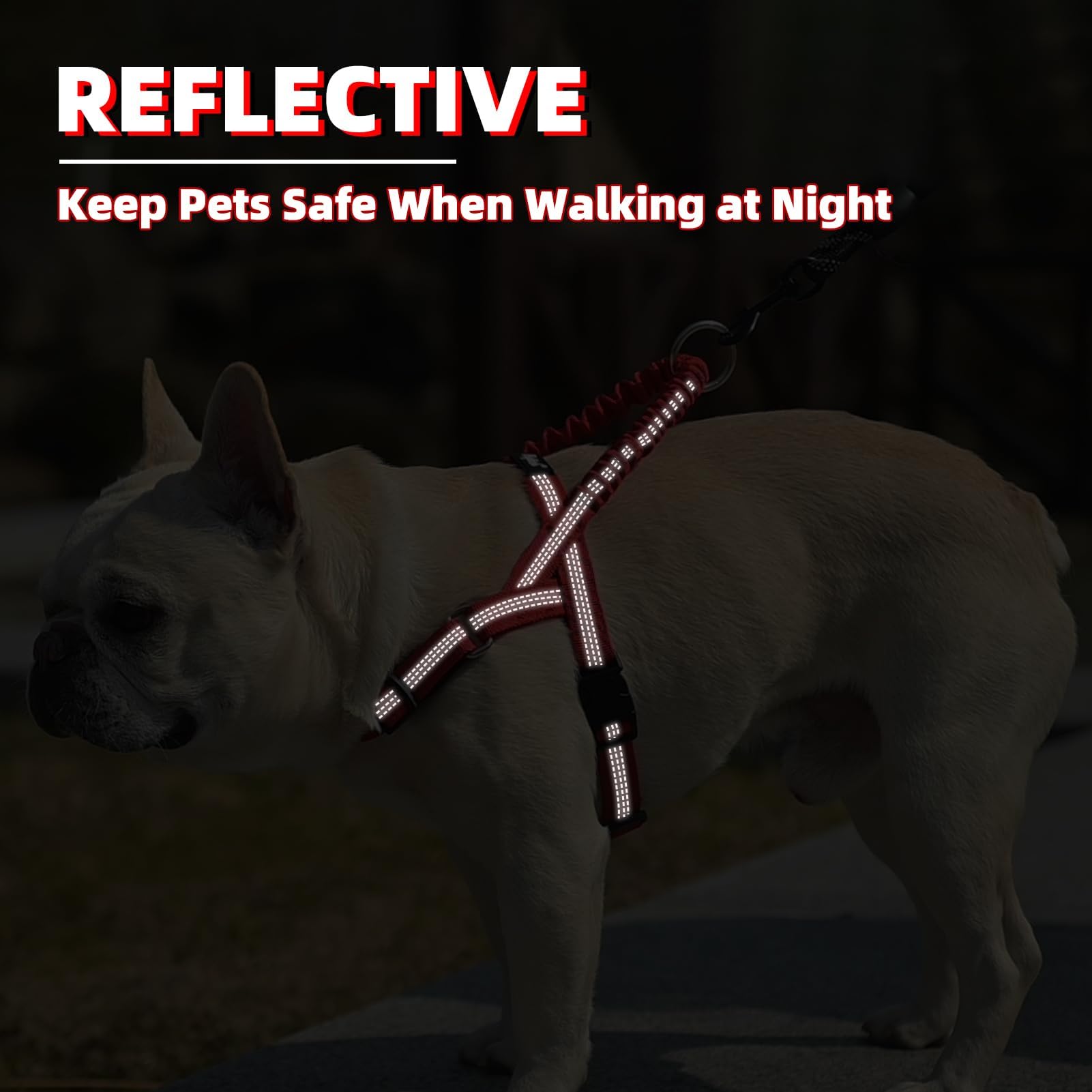 PUPTECK No Pull Harness adjustable buckle ensures quick, comfortable fit on medium dogs