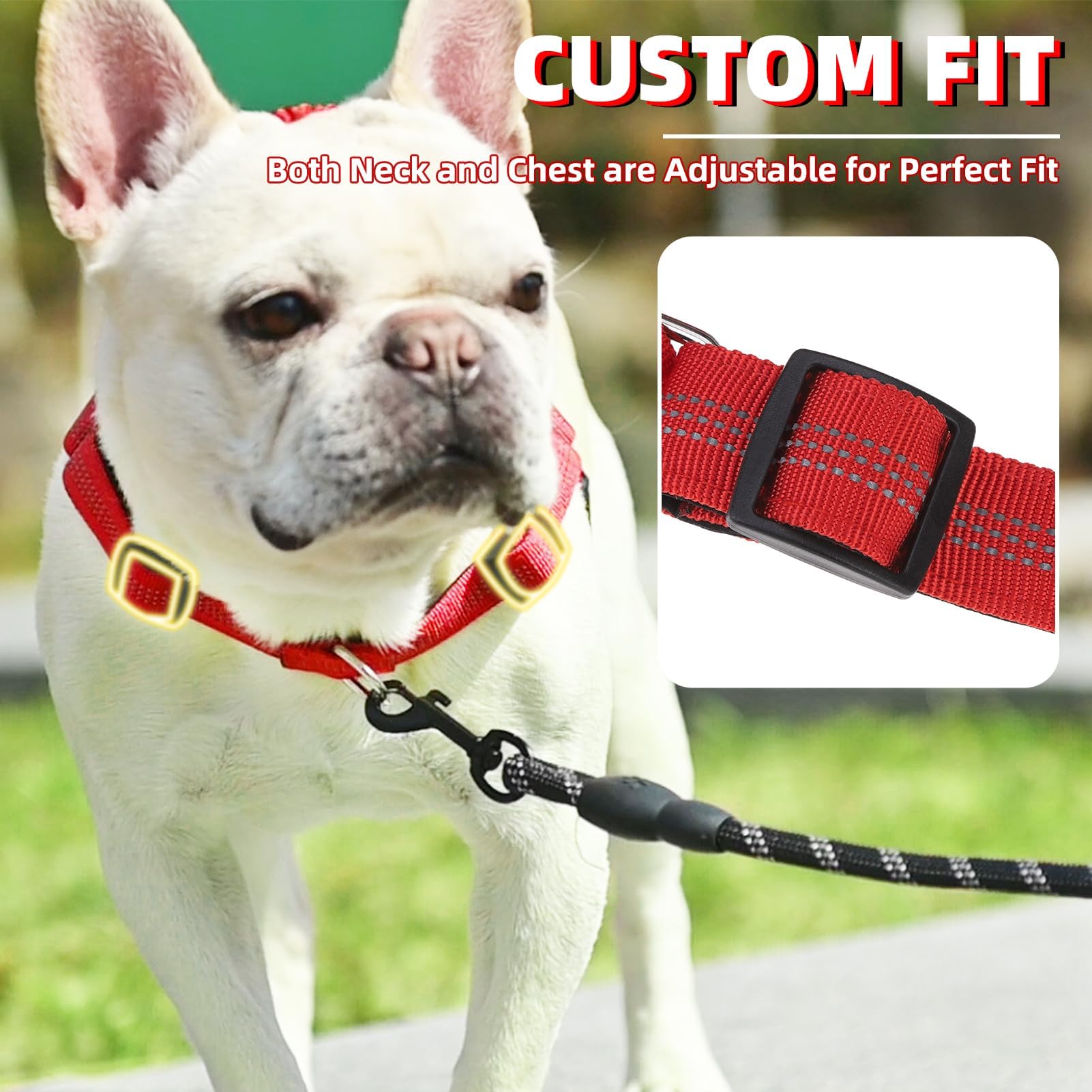 PUPTECK No Pull Harness bungee handle showcases shock-absorbing control during training