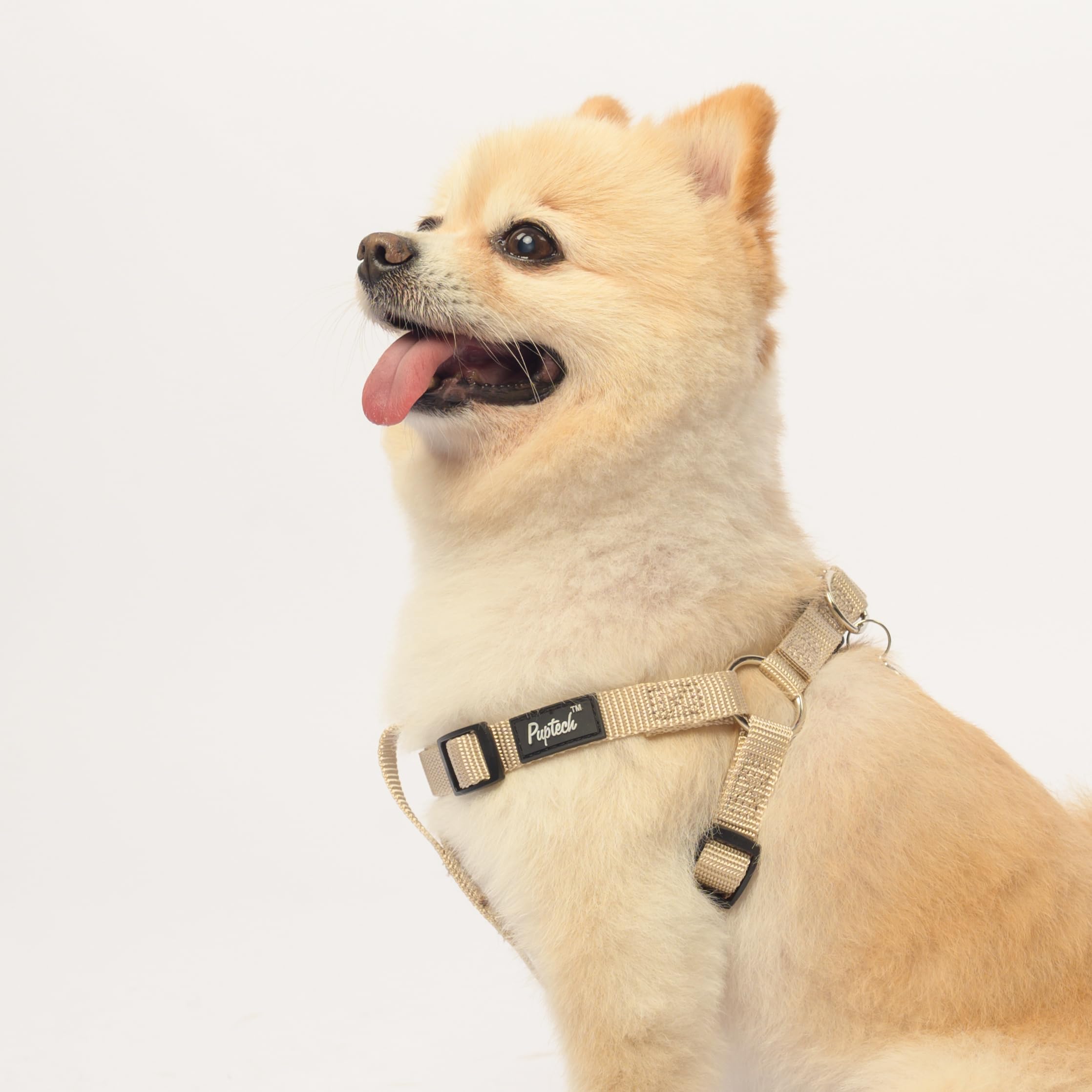 PUPTECK No Pull Harness cream ID tag close-up with DIY engraving option.