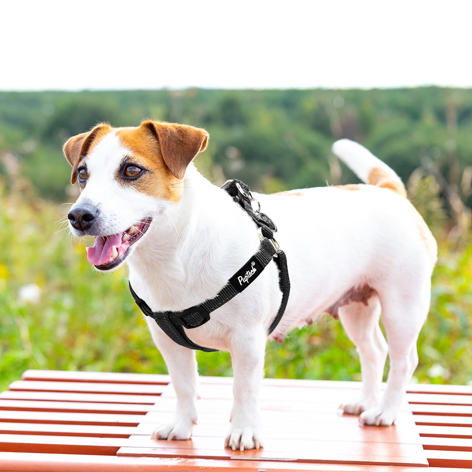 PUPTECK step-in harness is easy to put on and take off.