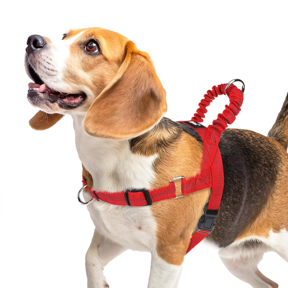 PUPTECK No Pull Harness front view shows balanced pressure for smoother, more controlled walks