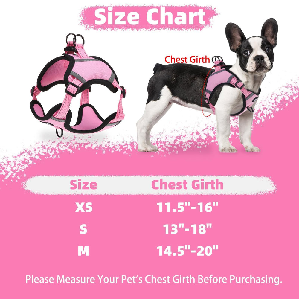 PUPTECK no pull harness pink M back-clip setup for versatile training and casual strolls.
