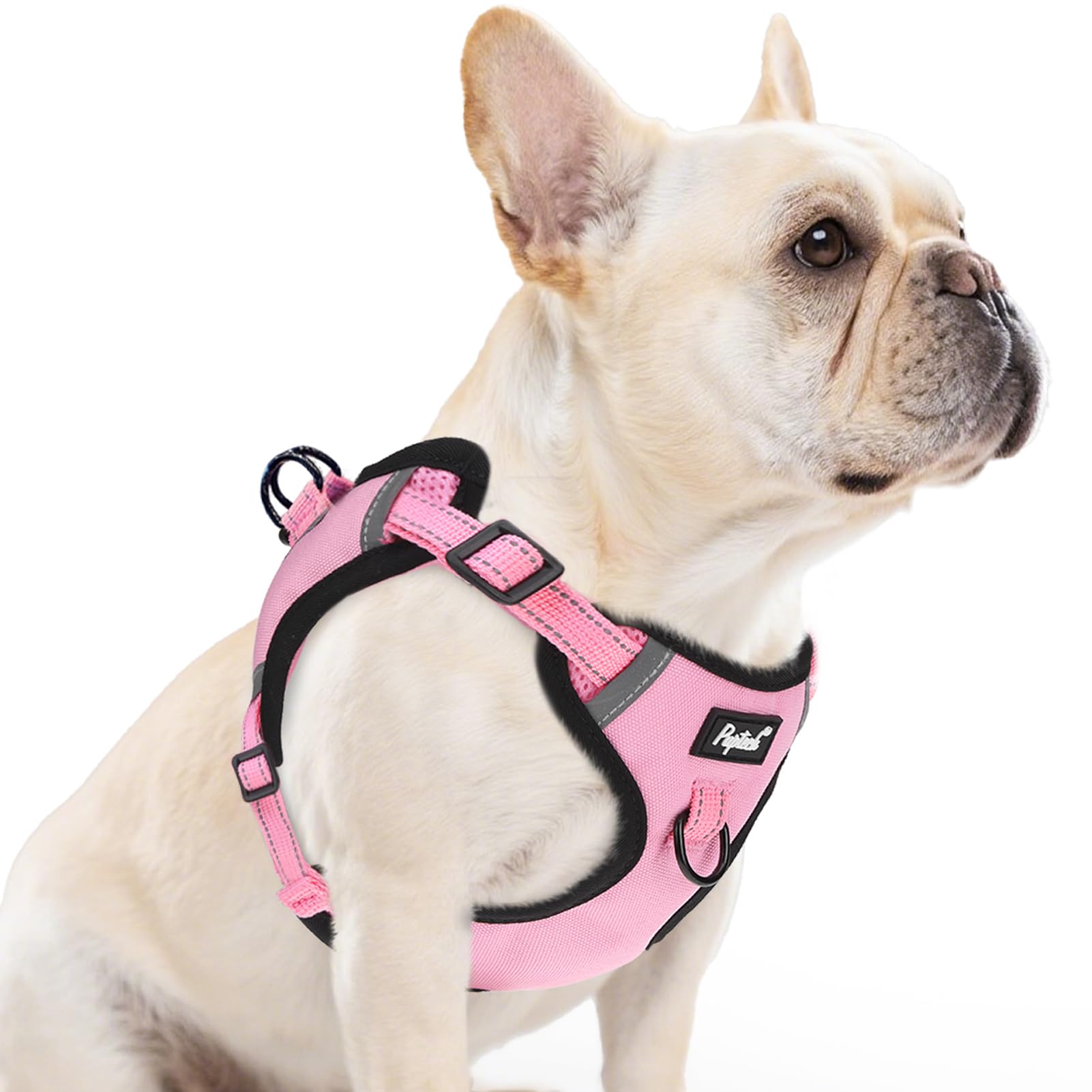 PUPTECK no pull harness pink M front view enhances comfy control during walks.