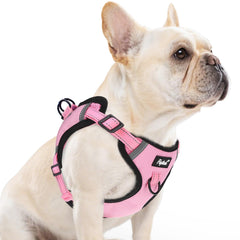 PUPTECK no pull harness pink M front view enhances comfy control during walks.
