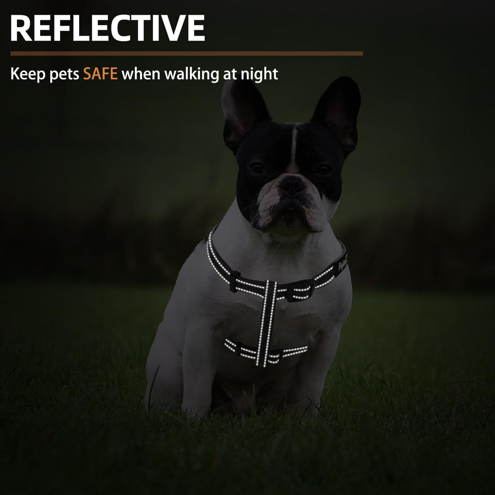 PUPTECK size chart shows XS to L for secure fit.